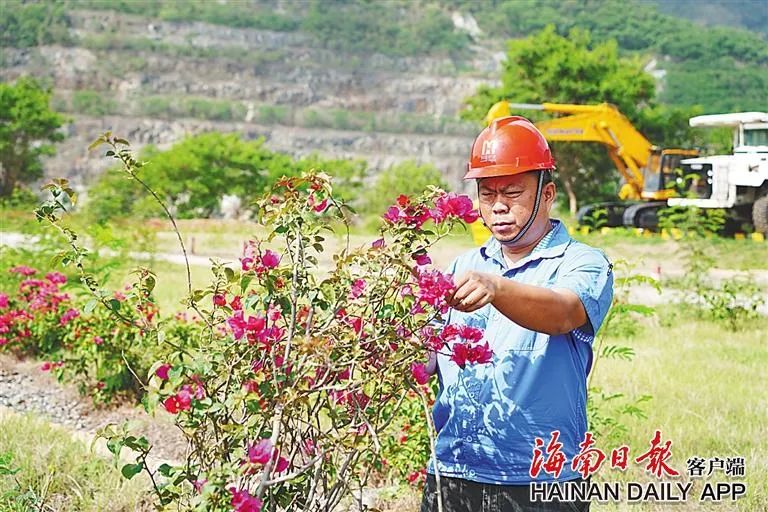 海南這座礦山，為何這么綠？4.jpg